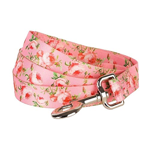 Spring-inspired Floral Rose Dog Leash - Small