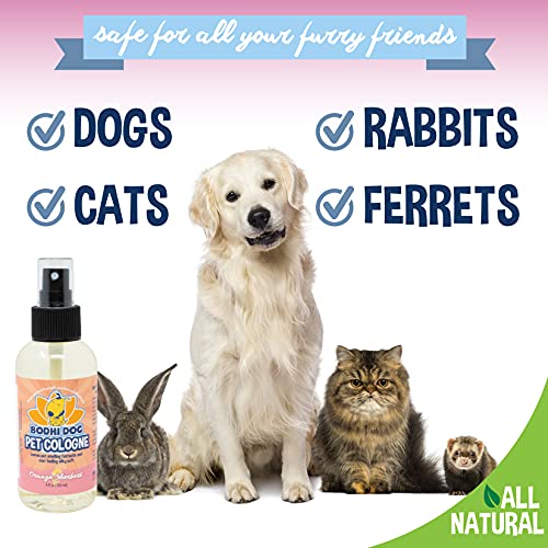 Bodhi Dog Natural Pet Cologne | Premium Scented Perfume Body Spray for Dogs and Cats | Clean and Fresh Scent | Natural Conditioning Qualities | Made in USA