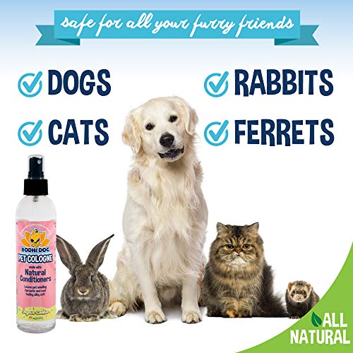 Bodhi Dog Natural Pet Cologne | Premium Scented Perfume Body Spray for Dogs and Cats | Clean and Fresh Scent | Natural Conditioning Qualities | Made in USA