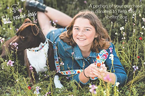 Lucky Love Dog Combo Set, Floral Dog Collar and Leash Set for Medium Dogs, Cute Girl Matching Collar & Leash Set, Part of Purchase Donated to Rescue (Ladybird Combo, Medium)