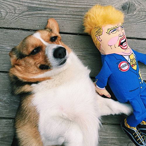 FUZZU Donald Trump Political Parody Novelty Dog Chew Toy with Squeaker - Small 12" Size Toy