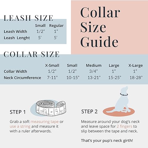 Lucky Love Dog Combo Set, Floral Dog Collar and Leash Set for Medium Dogs, Cute Girl Matching Collar & Leash Set, Part of Purchase Donated to Rescue (Ladybird Combo, Medium)