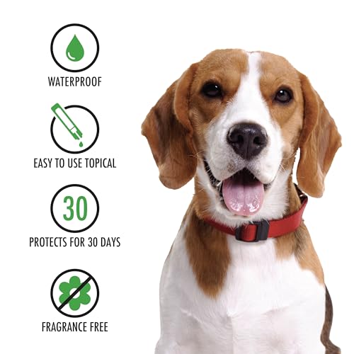 Advecta Ultra Flea & Tick Prevention - Dogs' Hair Master