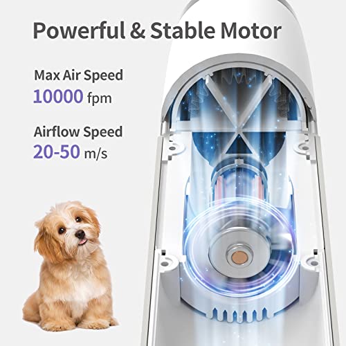 LIVEKEY Dog Dryer, Portable Professional Pet Dog Blow Dryer, High Velocity Pet Dog Dryer for Household Travel Camping, Less Noise Pet Hair Grooming Hair Dryer, NTC Smart Temperature Adjustment,â¦