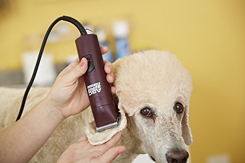 Andis 23280 ProClip Super 2-Speed Detachable Blade Clipper, Professional Animal/Dog Grooming, Burgundy, AGC2