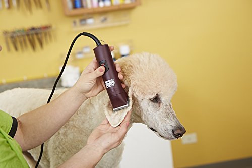Andis 23280 ProClip Super 2-Speed Detachable Blade Clipper, Professional Animal/Dog Grooming, Burgundy, AGC2