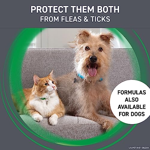 Flea and Tick Treatment for Cats, 8 Treatments