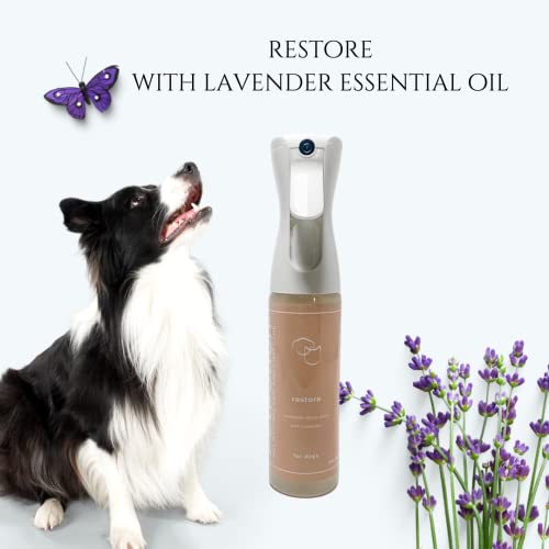 PetPotion Lavender, No Rinse, Waterless, Spray Misting Shampoo for Dogs and Puppies| USDA Organic| Reusable & Refillable (Restore - Lavender- 5.5 oz)