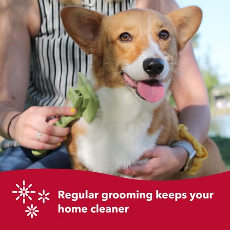 Coastal Pet - Safari - Dog Self-Cleaning Slicker Brush - Large (8 x 4.5 Inches)