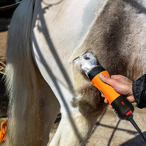 BEETRO 500W Electric Horse Clipper, Professional Horse Shears, Animal Grooming Kit for Horse Equine Goat Pony Cattle