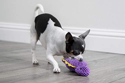 goDog Checkers Plush & PlayClean Squeaky Dog Toys for Dogs & Puppies, Chew Guard Technology - Available in Multiple Styles