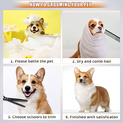 Dog Grooming Scissors Kit with Safety Round Tips, GEMEK Professional 6 in 1 Grooming Scissors for Dogs, Heavy Duty Titanium Coated Pet Grooming Scissor for Dogs, Cats and Other Animals (Black)