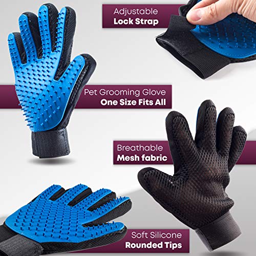 ELMA ALMI Dog Grooming Scissors - Dog Scissors for Grooming, Pet Grooming Scissors, Grooming Scissors for Dogs