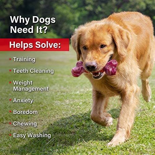 Tough Dog Toys for Aggressive Chewers Large Breed, Apasiri Dog Chew Toys, Durable Dog Toys, Dog Bones Made with Nylon and Rubber, Big Indestructible Dog Toy, Medium Puppy Chew Toys Teething chew Toys