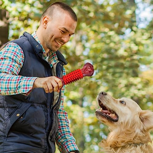 Tough Dog Toys for Aggressive Chewers Large Breed, Apasiri Dog Chew Toys, Durable Dog Toys, Dog Bones Made with Nylon and Rubber, Big Indestructible Dog Toy, Medium Puppy Chew Toys Teething chew Toys
