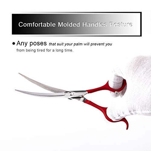 TooSharp Dog Grooming Curved Scissor - 7 Inch Professional Sharp Trimming Shears Designed for Right/Left handers for Long Short Hair of Cat Pet