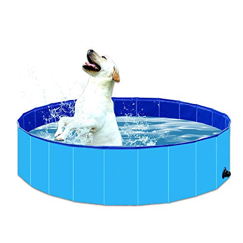 Big Pet Pool for Dogs, Cats, and Kids