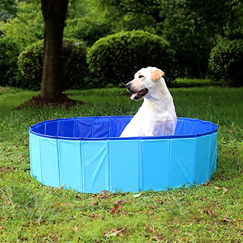 Big Pet Pool for Dogs, Cats, and Kids