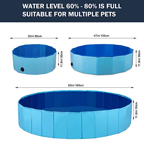 Big Pet Pool for Dogs, Cats, and Kids