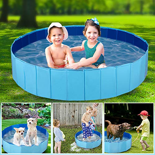 Big Pet Pool for Dogs, Cats, and Kids