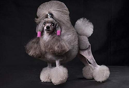 Dog Grooming Scissors,Pet Grooming Scissors with Thinning,Straight,Curved Down Shears great for Groomers,Home Grooming and Groomer Beginners