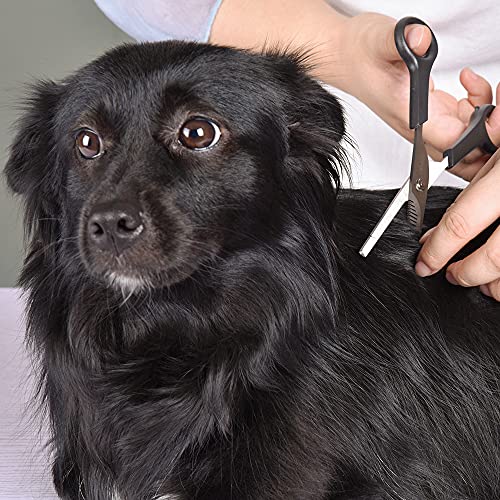 Professional Pets Grooming Scissors Set Stainless Steel Dog Eye scissors Thinning Shears Tool kit for Dogs and Cats
