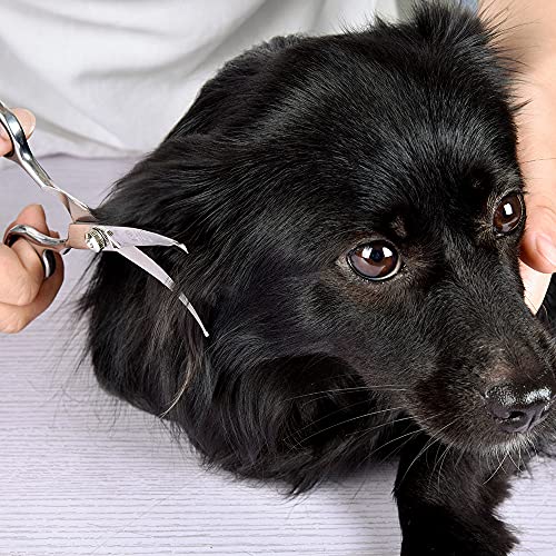 Chibuy Curved Dog Grooming Scissors with Round Tips, Pet Curved Shear for Dogs and Cats, 4CR Stainless Steel Pets Bending Scissors, Professional Pet Grooming Tools for Home