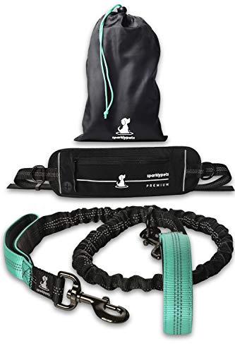 SparklyPets Hands Free Dog Leash for Medium and Large Dogs – Professional Harness with Reflective Stitches for Training, Walking, Jogging and Running Your Pet (Premium Teal, for 1 Dog)