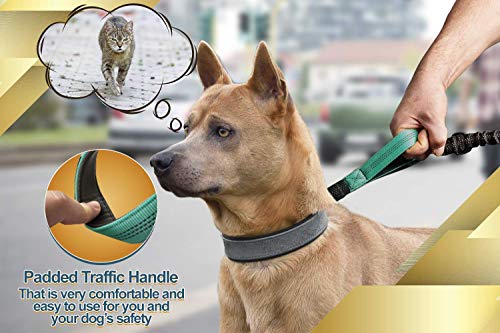 SparklyPets Hands Free Dog Leash for Medium and Large Dogs – Professional Harness with Reflective Stitches for Training, Walking, Jogging and Running Your Pet (Premium Teal, for 1 Dog)