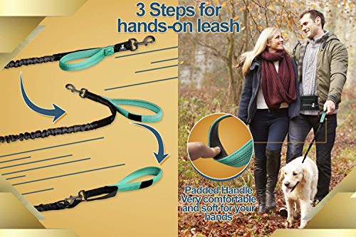SparklyPets Hands Free Dog Leash for Medium and Large Dogs – Professional Harness with Reflective Stitches for Training, Walking, Jogging and Running Your Pet (Premium Teal, for 1 Dog)