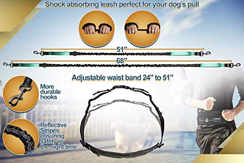 SparklyPets Hands Free Dog Leash for Medium and Large Dogs – Professional Harness with Reflective Stitches for Training, Walking, Jogging and Running Your Pet (Premium Teal, for 1 Dog)