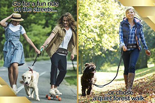 SparklyPets Hands Free Dog Leash for Medium and Large Dogs – Professional Harness with Reflective Stitches for Training, Walking, Jogging and Running Your Pet (Premium Teal, for 1 Dog)