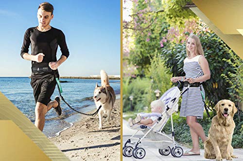 SparklyPets Hands Free Dog Leash for Medium and Large Dogs – Professional Harness with Reflective Stitches for Training, Walking, Jogging and Running Your Pet (Premium Teal, for 1 Dog)