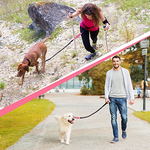 SparklyPets Hands Free Dog Leash for Medium and Large Dogs – Professional Harness with Reflective Stitches for Training, Walking, Jogging and Running Your Pet (Pink, for 1 Dog)