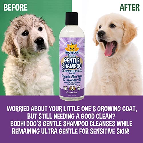 Bodhi Dog Premium Gentle Shampoo | Soothing & Ultra Gentle Puppy Shampoo | Aloe Vera and Lavender Oil | Natural Moisturizing Pet Wash for Puppies, Dogs and Cats (17 Fl Oz)