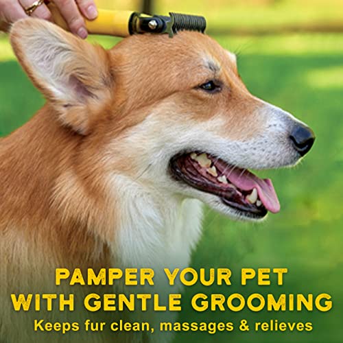 Pawradise Pet Undercoat Rake - 2 Sided Dematting Tool for Dogs and Cats - Safe Grooming & Deshedding Brush - Comb Out Mats & Tangles Easily