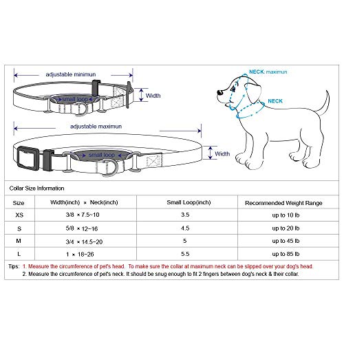 Blueberry Pet Essentials Martingale Safety Training Dog Collar, Lavender, Large, Heavy Duty Nylon Adjustable Collars for Dogs