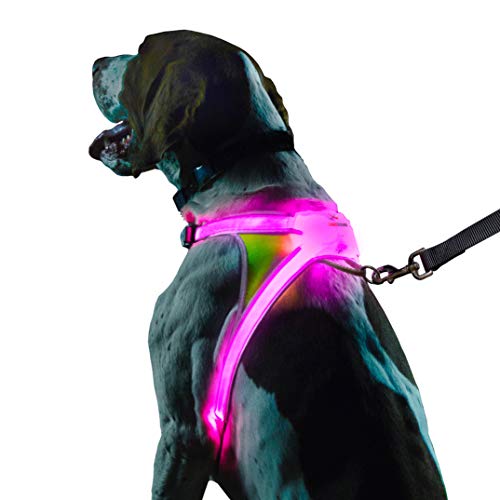 Noxgear LightHound â Revolutionary Illuminated and Reflective Harness for Dogs Including Multicolored LED Fiber Optics (USB Rechargeable, Adjustable, Lightweight, Rainproof) (Small)