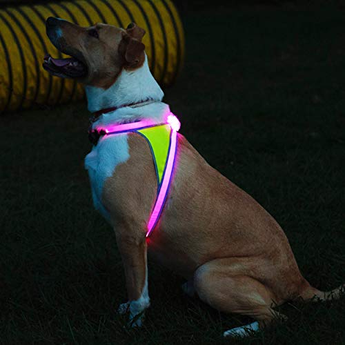 Noxgear LightHound â Revolutionary Illuminated and Reflective Harness for Dogs Including Multicolored LED Fiber Optics (USB Rechargeable, Adjustable, Lightweight, Rainproof) (X-Large)