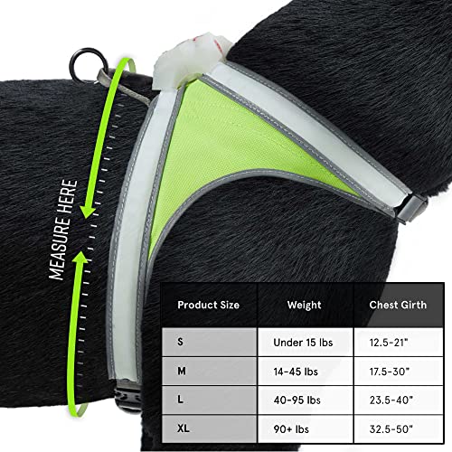 Noxgear LightHound â Revolutionary Illuminated and Reflective Harness for Dogs Including Multicolored LED Fiber Optics (USB Rechargeable, Adjustable, Lightweight, Rainproof) (Small)