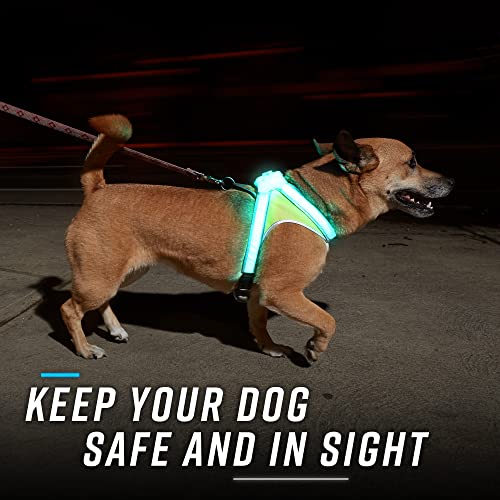 Noxgear LightHound â Revolutionary Illuminated and Reflective Harness for Dogs Including Multicolored LED Fiber Optics (USB Rechargeable, Adjustable, Lightweight, Rainproof) (X-Large)