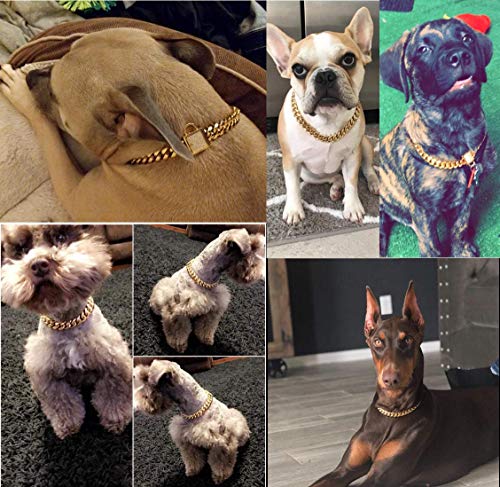 Designer Dog Collar Gold Metal Stainless Steel with Zirconia Lock 14mm 18K Gold Big Dog Luxury Training Collar Cuban Lock Link Necklace Chain (16 inch(for 13.6-15.5" Neck), Gold)