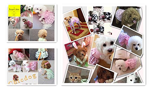 Hdwk&Hped Dog Dress with Leash Ring, Princess Multi-Layer Pleated Skirt Pentagram Bow Pet Dress for Small Dog Puppy Cat Pink #5