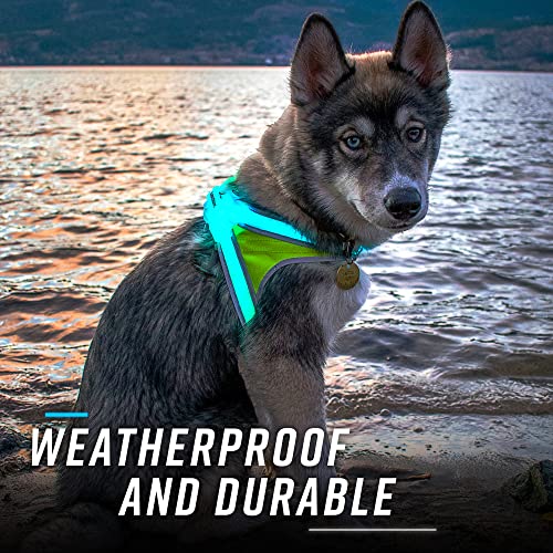 Noxgear LightHound â Revolutionary Illuminated and Reflective Harness for Dogs Including Multicolored LED Fiber Optics (USB Rechargeable, Adjustable, Lightweight, Rainproof) (Small)