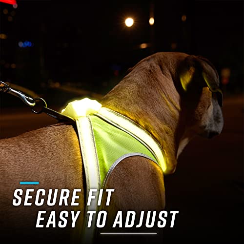 Noxgear LightHound â Revolutionary Illuminated and Reflective Harness for Dogs Including Multicolored LED Fiber Optics (USB Rechargeable, Adjustable, Lightweight, Rainproof) (Small)