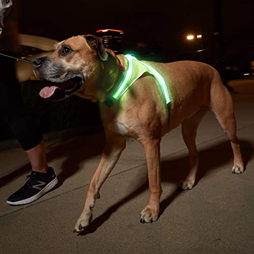 Noxgear LightHound â Revolutionary Illuminated and Reflective Harness for Dogs Including Multicolored LED Fiber Optics (USB Rechargeable, Adjustable, Lightweight, Rainproof) (X-Large)