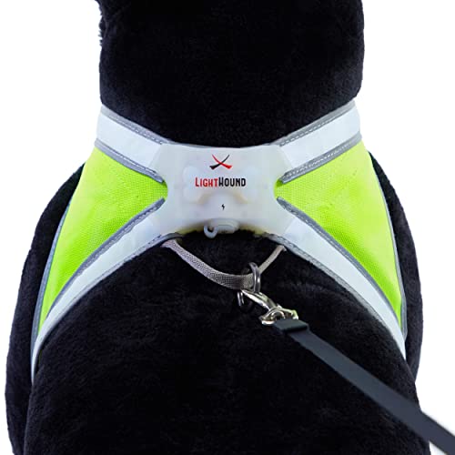 Noxgear LightHound â Revolutionary Illuminated and Reflective Harness for Dogs Including Multicolored LED Fiber Optics (USB Rechargeable, Adjustable, Lightweight, Rainproof) (Small)