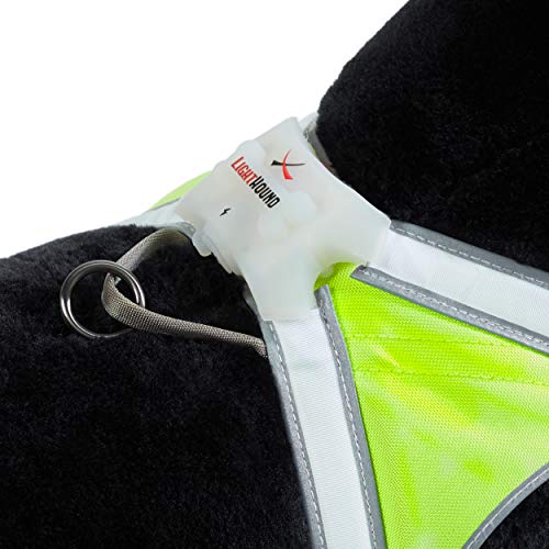 Noxgear LightHound â Revolutionary Illuminated and Reflective Harness for Dogs Including Multicolored LED Fiber Optics (USB Rechargeable, Adjustable, Lightweight, Rainproof) (Small)
