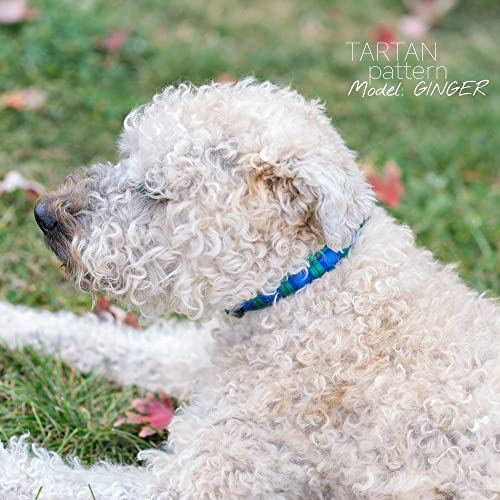 Blue Green Tartan Plaid Dog Collar (Tartan, Large)