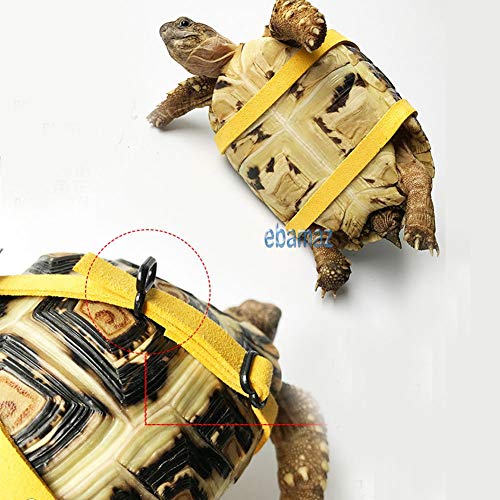 ebamaz Leather Harness Strap for Tortoise/Turtle Pet Walking Lead Control Rope Chest Collar (L)